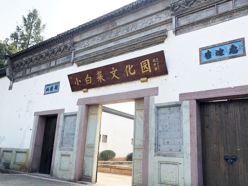 小白菜文化園旅游景區